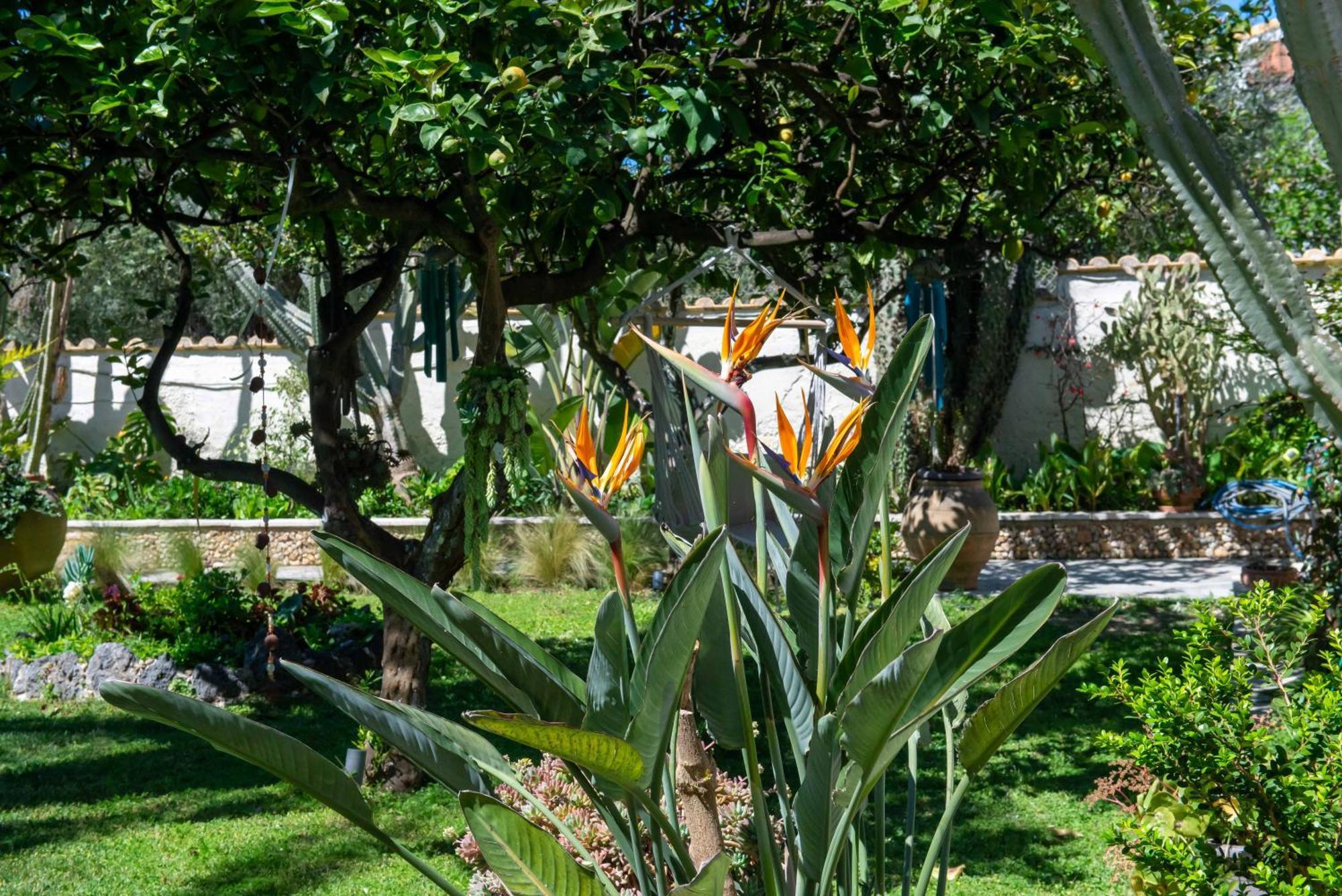 Alex Studios&Apartments Arillas  Exterior foto